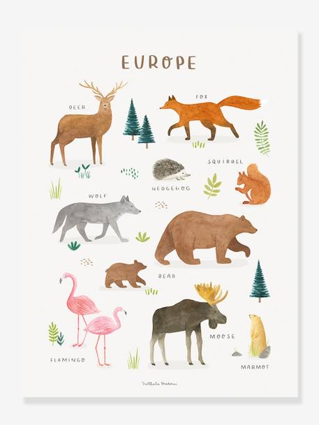 Kinderzimmer Poster LIVING EARTH Europa LILIPINSO - braun - 1