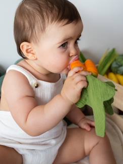 Spielzeug-Baby-Tasten & Greifen-Baby Beißspielzeug und Schmusetuch CATHY KAROTTE OLI & CAROL