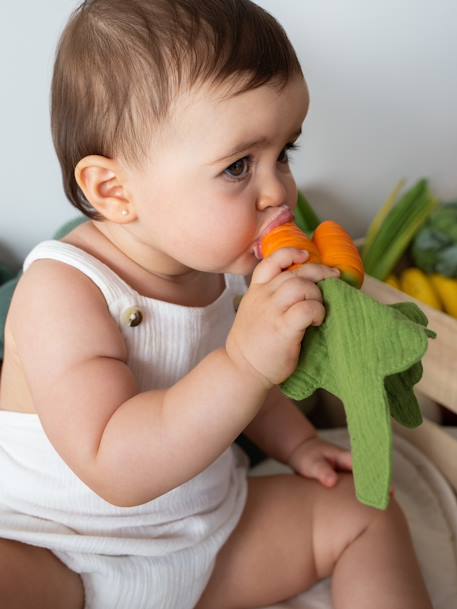 Baby Beißspielzeug und Schmusetuch CATHY KAROTTE OLI & CAROL - orange - 1