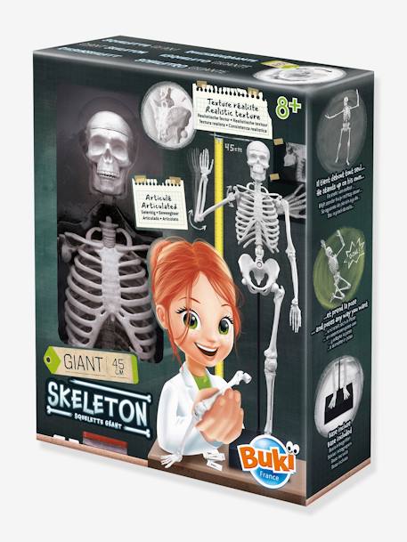 Kinder Anatomie-Skelett BUKI - mehrfarbig - 1