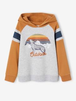Jungenkleidung-Pullover, Strickjacken, Sweatshirts-Sweatshirts-Jungen Kapuzensweatshirt