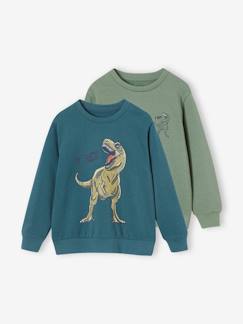 Jungenkleidung-Pullover, Strickjacken, Sweatshirts-2er-Pack Jungen Sweatshirts