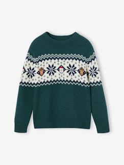 Jungenkleidung-Pullover, Strickjacken, Sweatshirts-Kinder Weihnachts-Pullover Capsule Collection FAMILIE Oeko-Tex