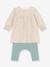 Baby-Set: Jerseykleid & Leggings PETIT BATEAU - beige - 2