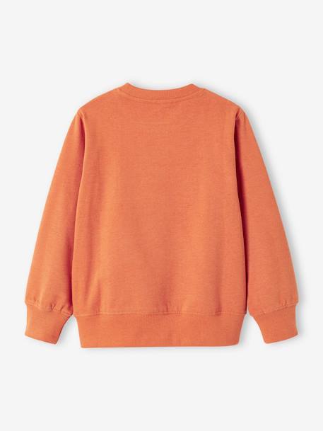 Jungen Sweatshirt mit Print BASIC Oeko-Tex - aprikose+beige meliert+graublau+pistaziengrün - 2