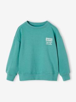 Jungenkleidung-Pullover, Strickjacken, Sweatshirts-Jungen Sweatshirt BASIC Oeko-Tex