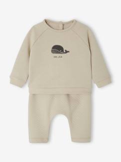 Baby-Set: Sweatshirt & Hose -  - [numero-image]